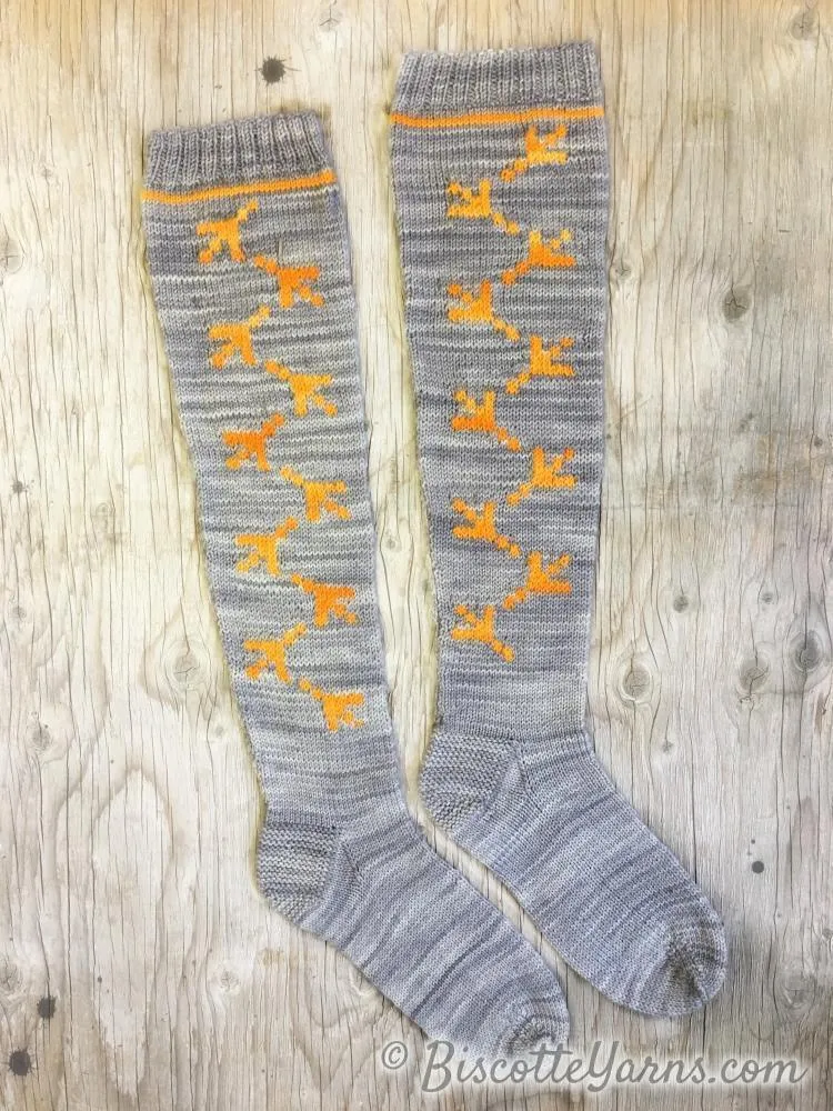 Chicken Dance Socks Pattern