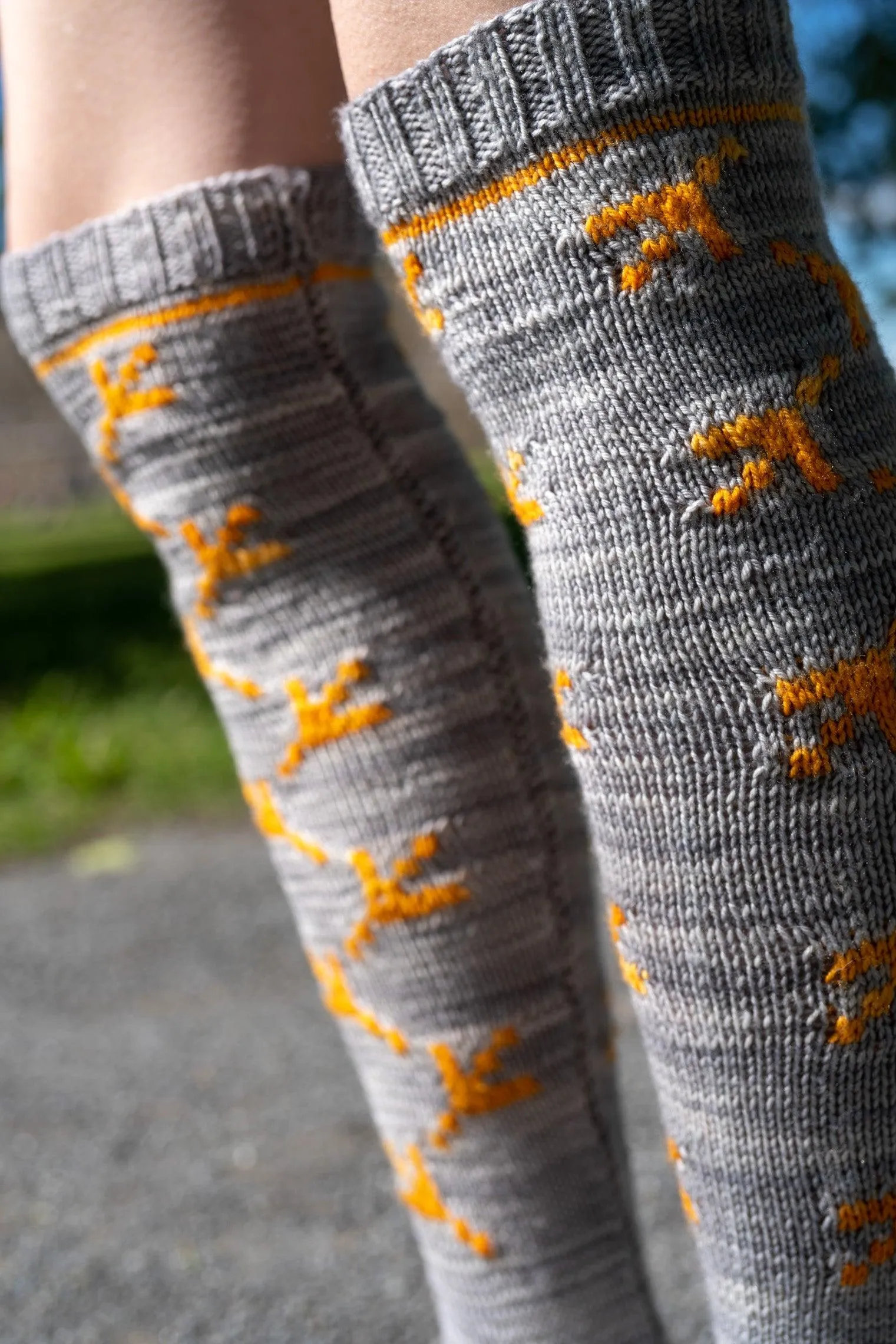 Chicken Dance Socks Pattern