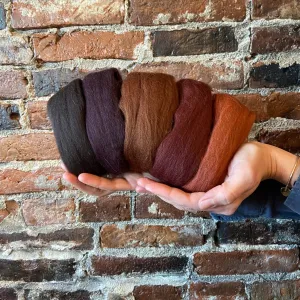 Dark Brown Shades - Five Merino Wool Top Roving Colors - 50 grams (1.75 oz) Total