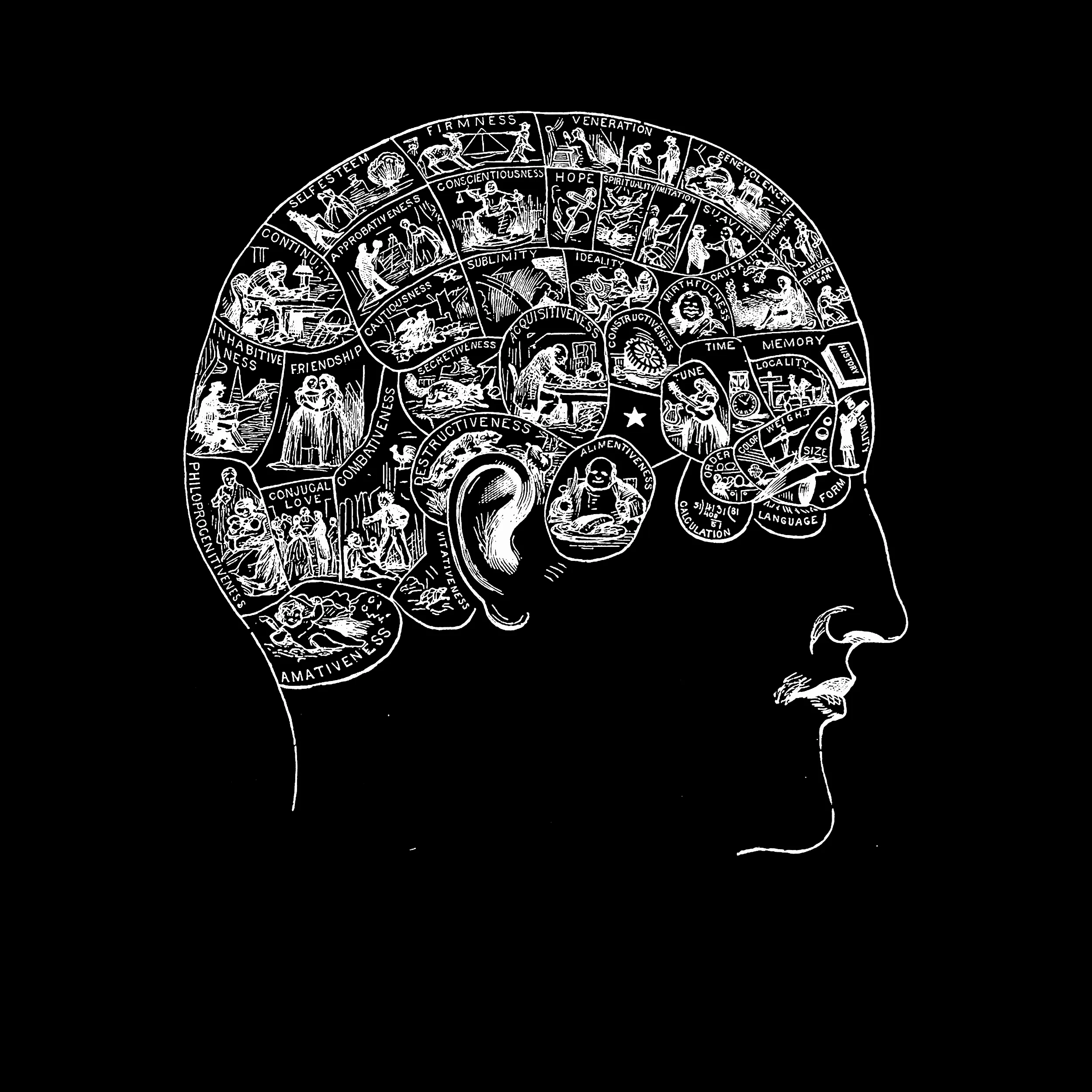 Phrenology Psychology Slim Fit Tee