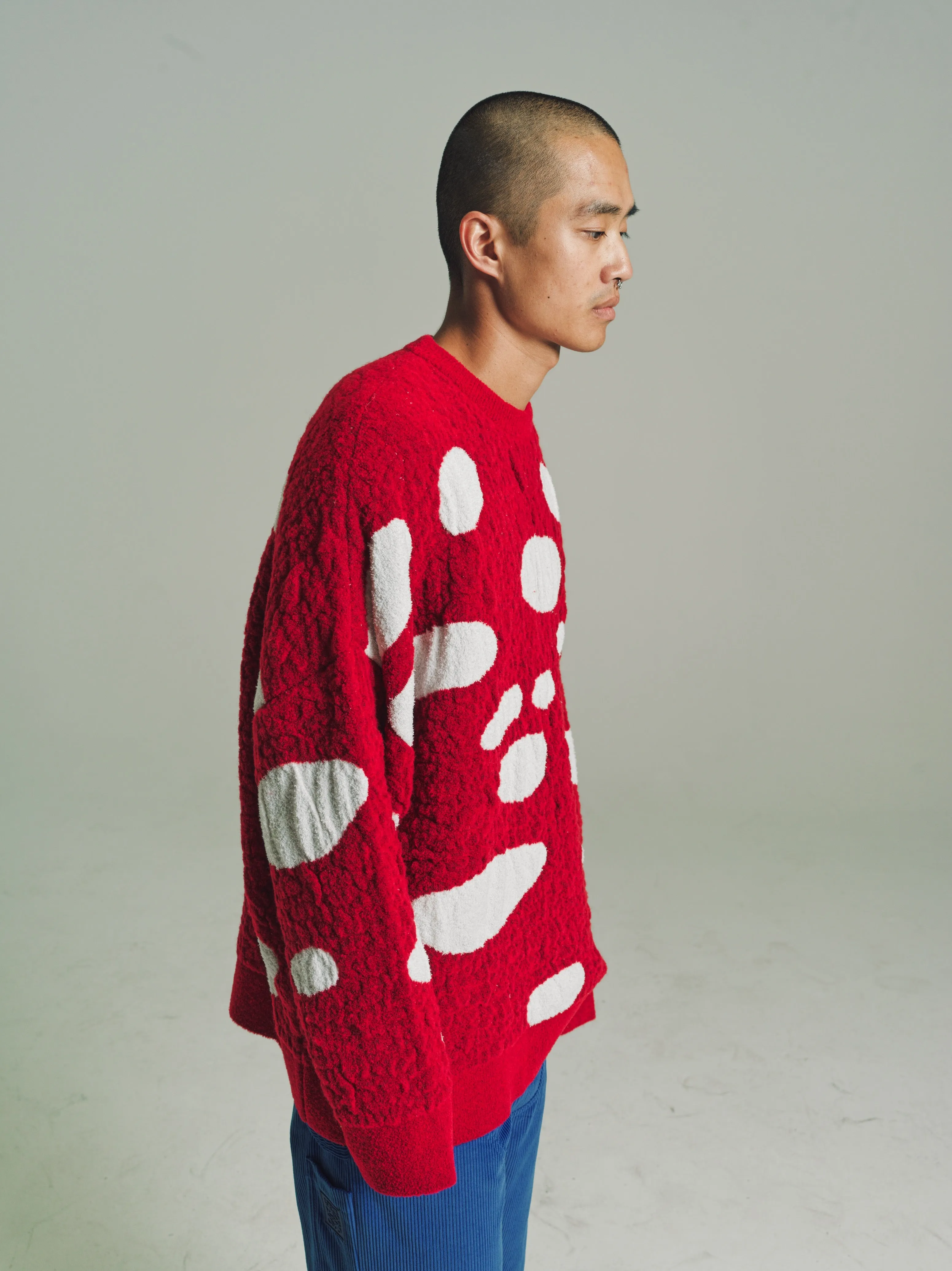 Red & White Lana Wool Mushroom Sweater