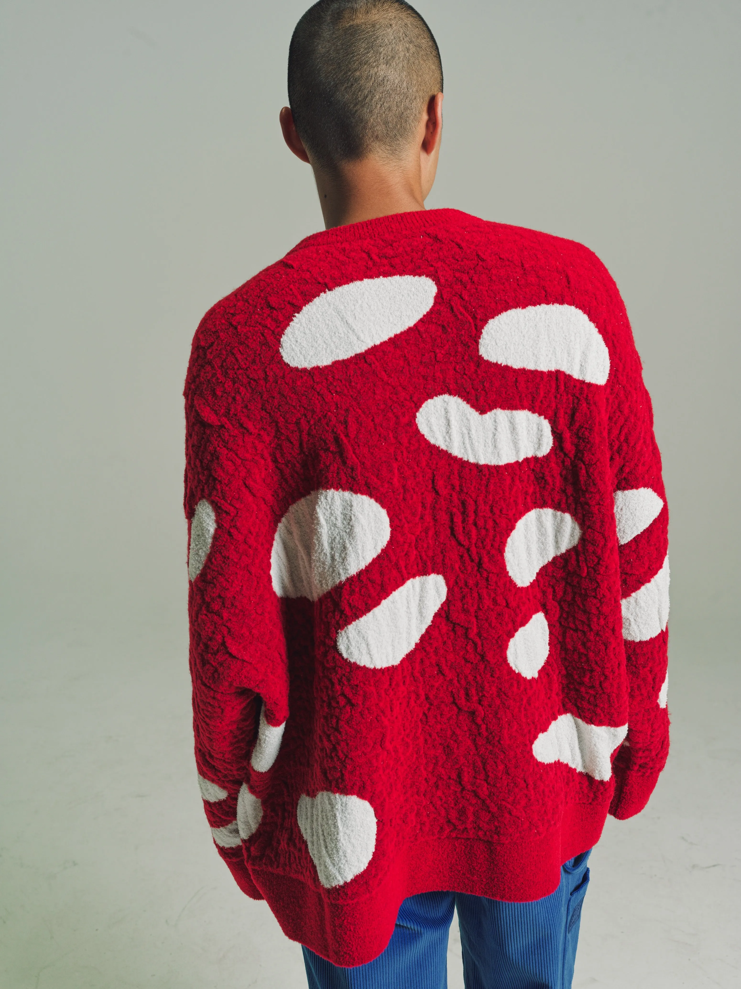 Red & White Lana Wool Mushroom Sweater