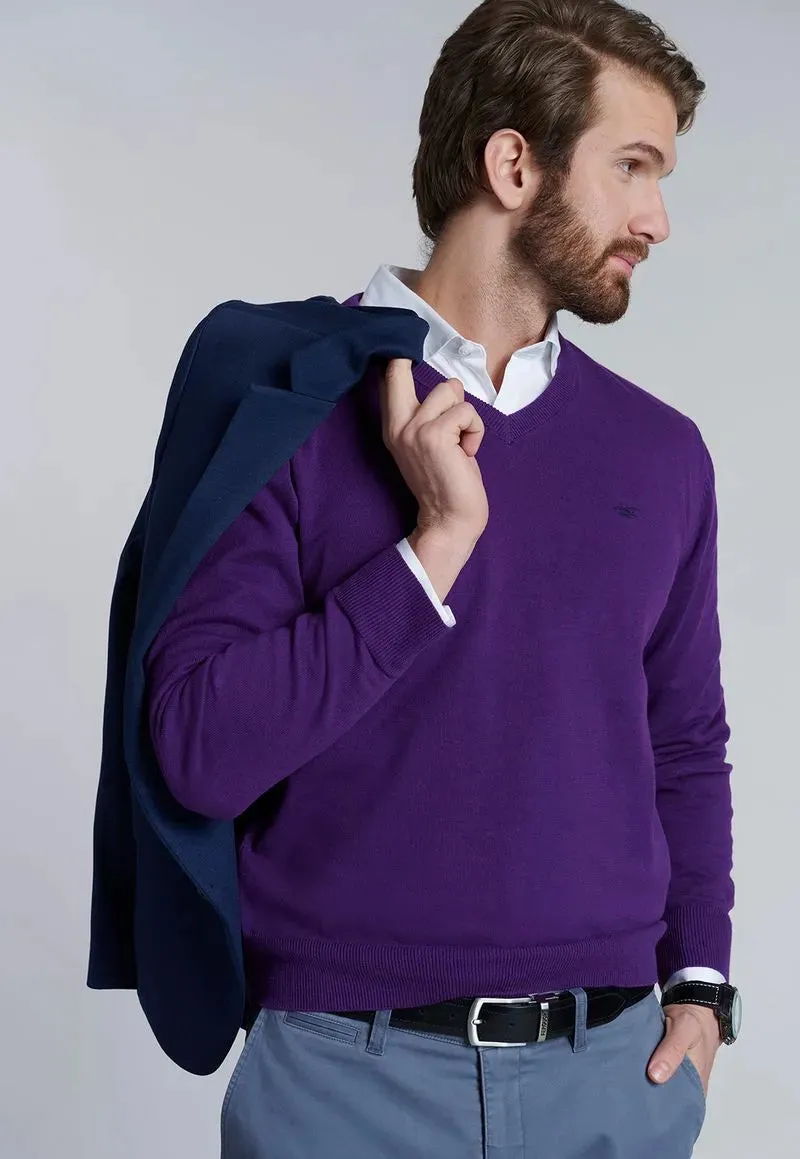 Sweater Hombre V Neck Solido F Dk Violet